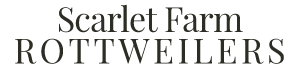 Scarlet Farm Rottweilers Logo